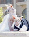 Luxurious Cat Wedding Gown with Train and Veil