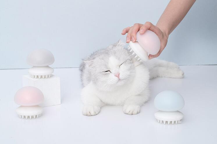 How To Bathe Your Cat Properly?