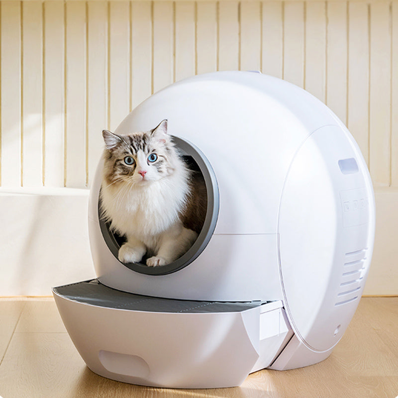 Automatic Litter Box VS Regular