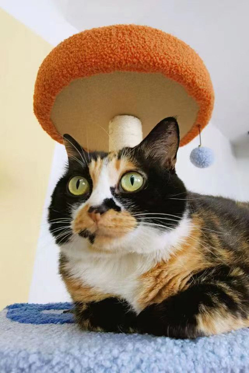 Flora's back, alright!