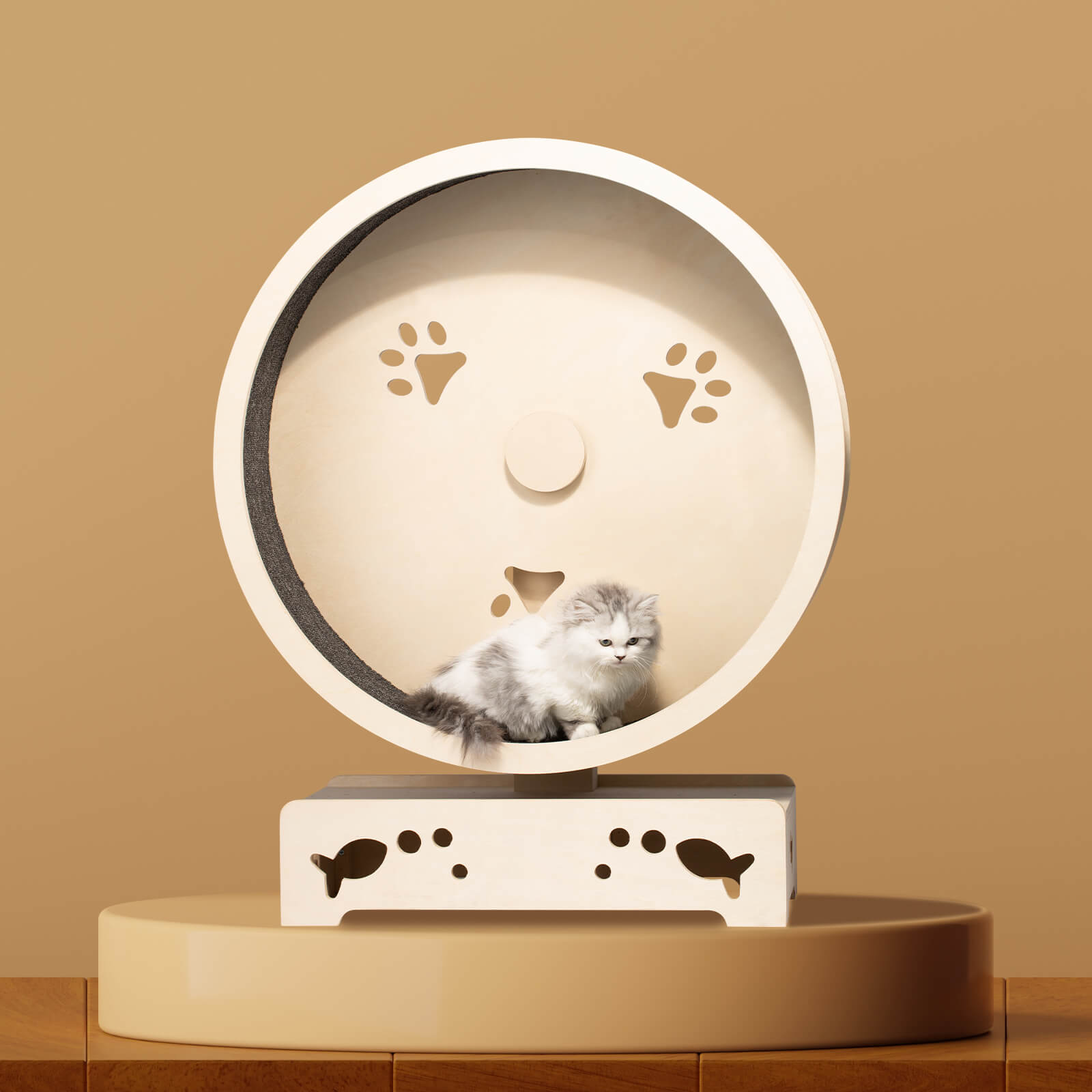 The 5 Best Activities to Help Your Cat Stay Active