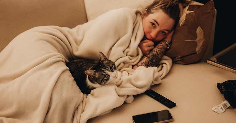 What First-Time Cat Owners Need to Know About Adoption