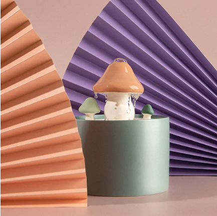 Water bowls versus drinking fountains for your cat!