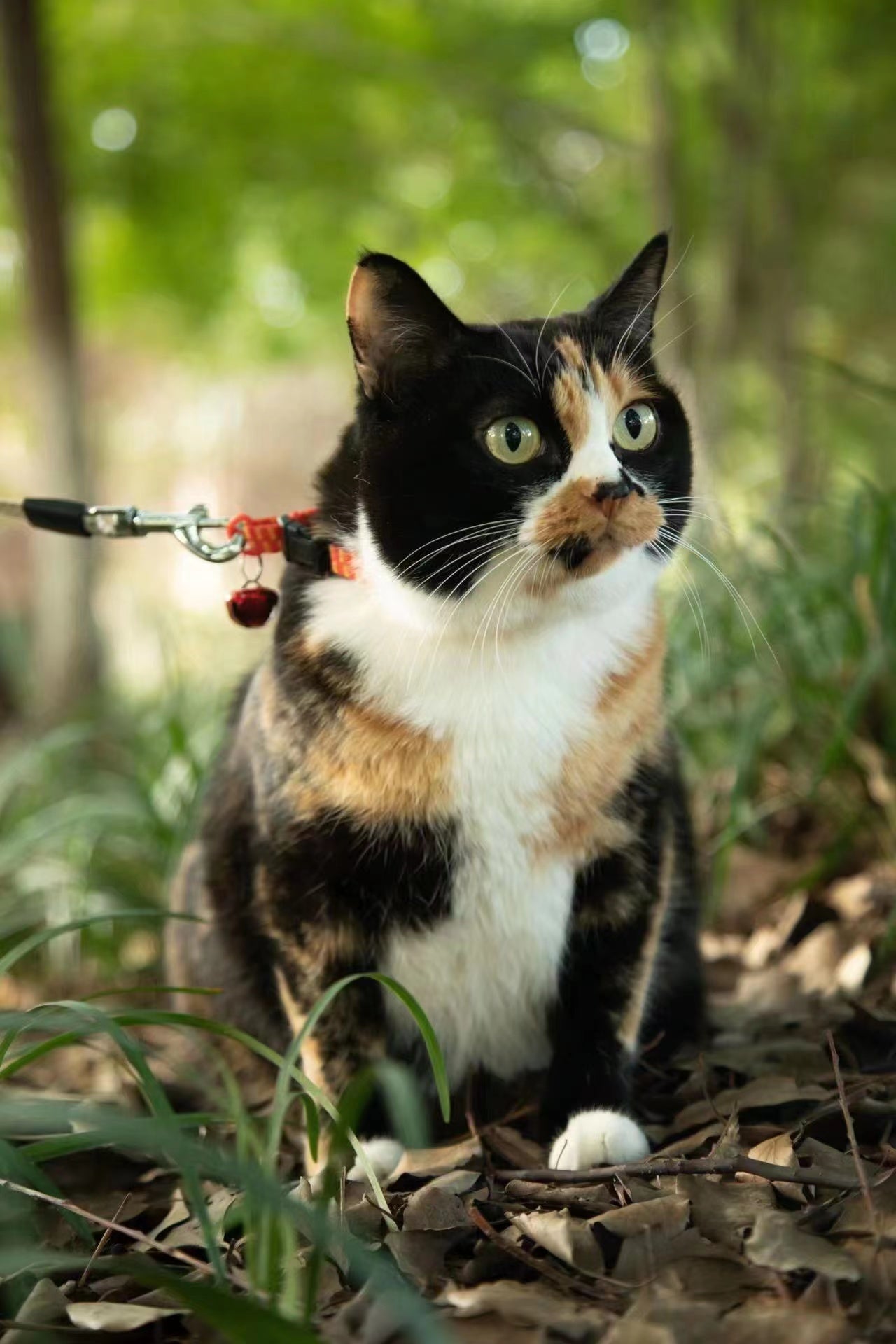 An Abnormal 2022 for Flora