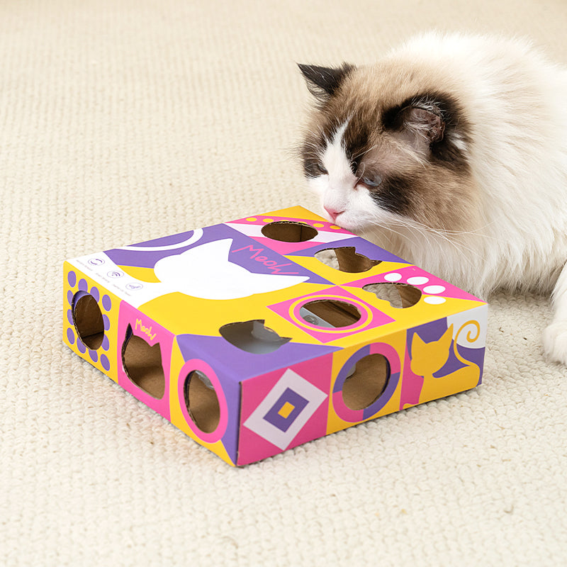 Smart Cat Teaser Box