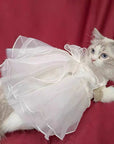 Charming Cat Wedding Gown with Bow