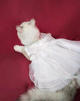 Charming Cat Wedding Gown with Bow