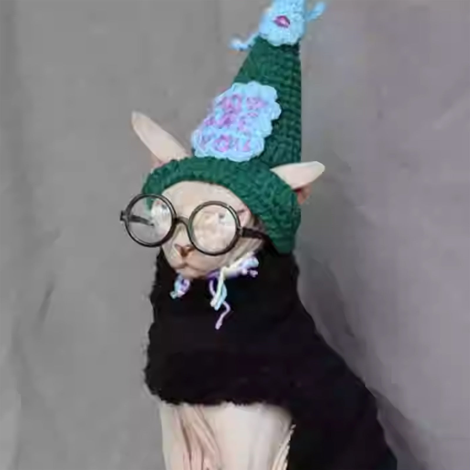 Magic Academy Cat Hat