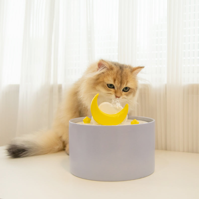 Purple Moonlight Series Set