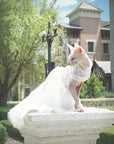 Luxurious Cat Wedding Gown with Train and Veil