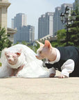 Luxurious Cat Wedding Gown with Train and Veil