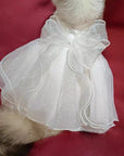 Charming Cat Wedding Gown with Bow