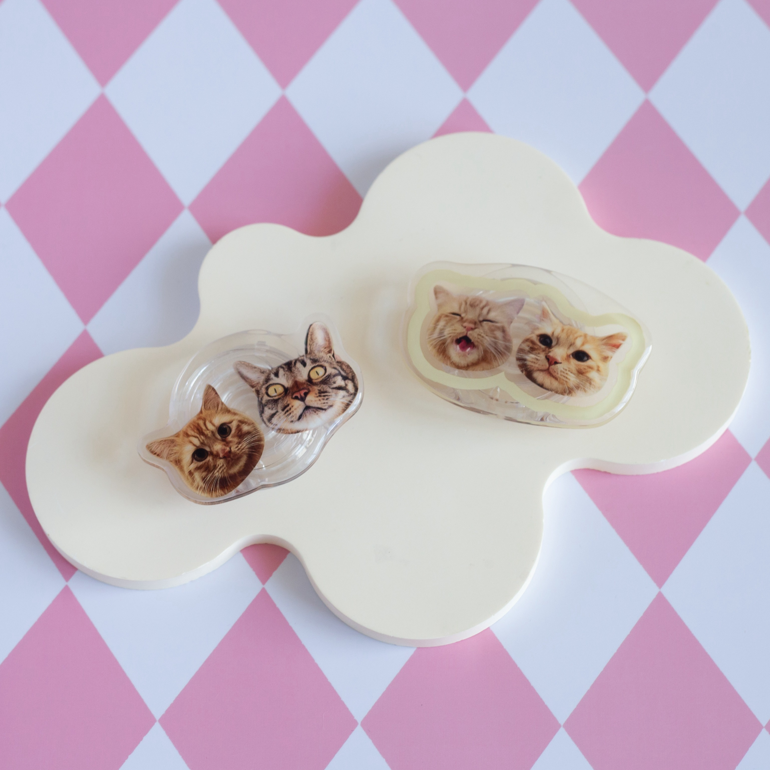 Custom Pet Portrait Phone Holder