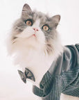 Stylish Cat Wedding Tuxedo