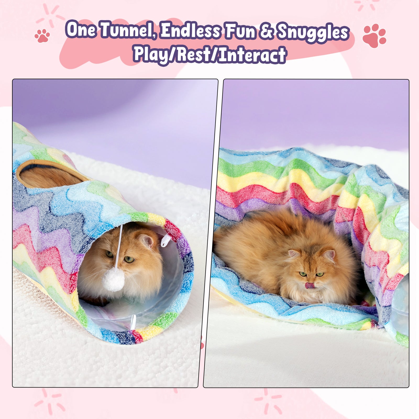 Elves in the Rainbow Cat Tunnel