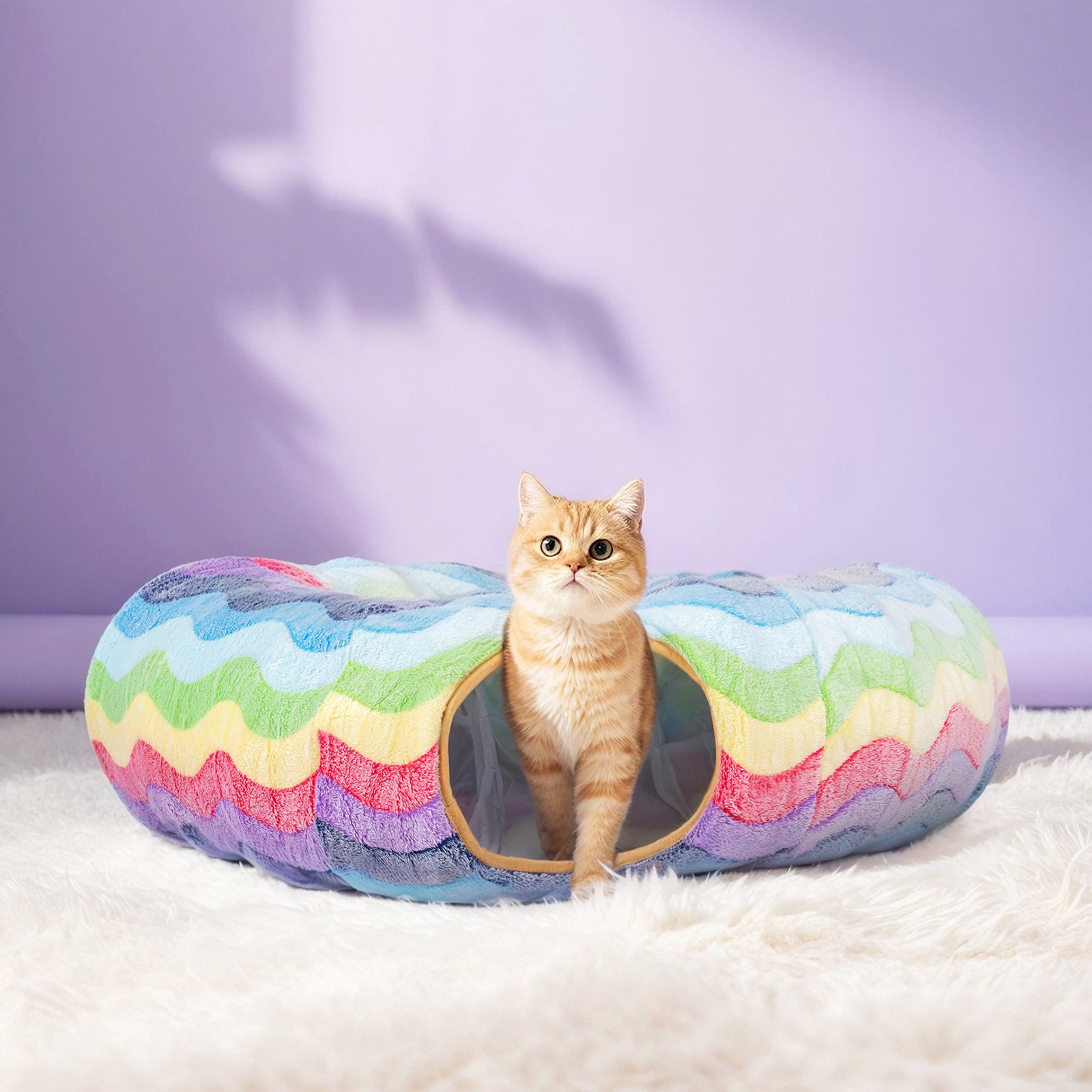 Elves in the Rainbow Cat Tunnel