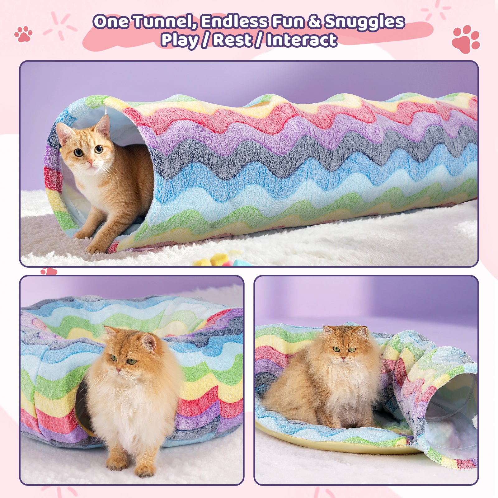 Elves in the Rainbow Cat Tunnel