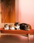 35.9'' Wooden Sunset Cat Couch for Multiple Cats - Stylish Lounge & Play