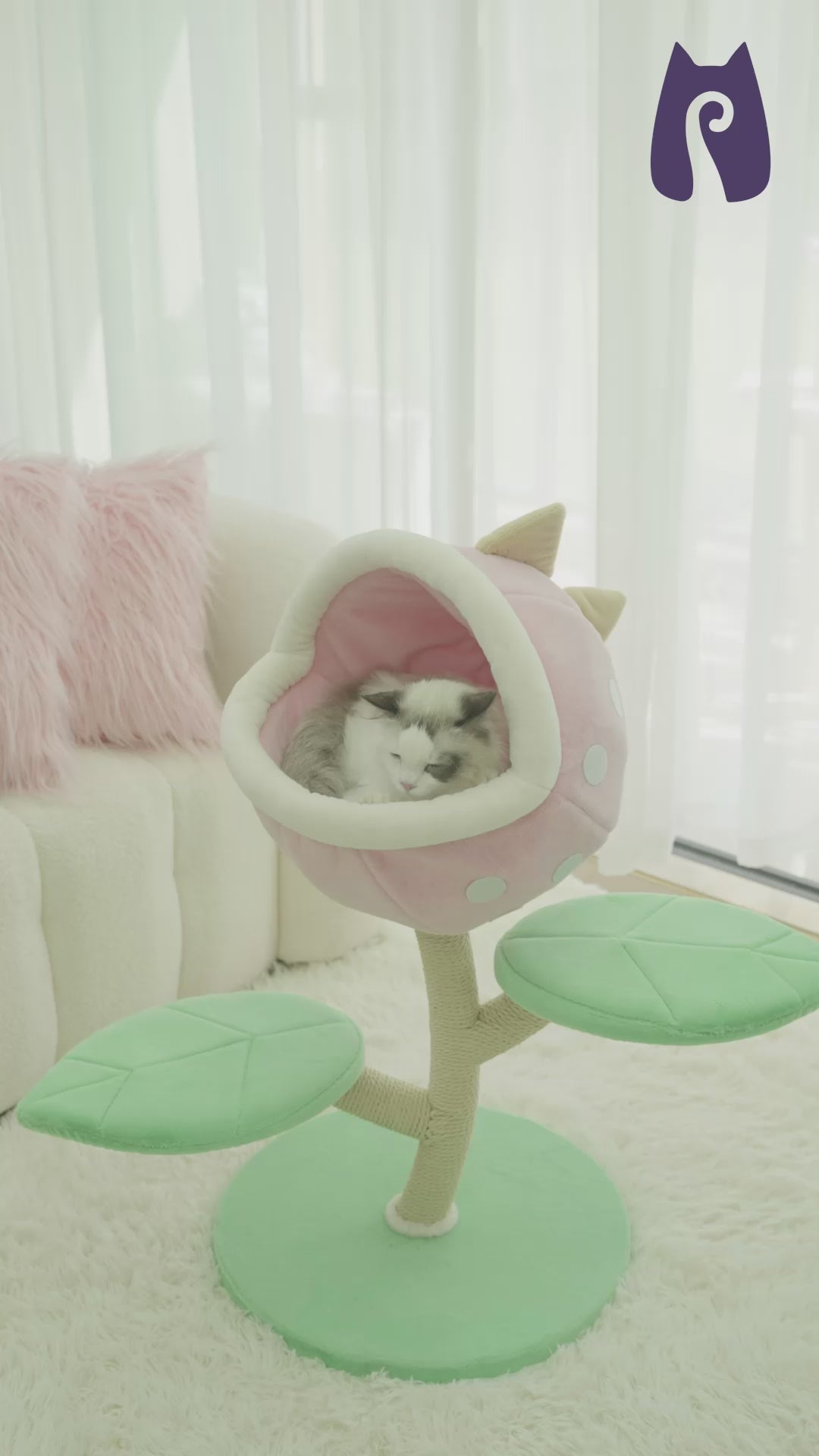 monster-world-cat-tree-ragdoll-cat-sleeping-playing