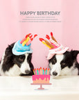 Pet Happy Birthday Hat