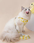 Fruit Series Pet Harness Vest & Leash - happyandpolly