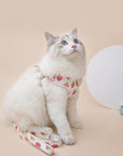 Fruit Series Cat Leashes and Harnesses