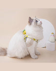 Fruit Style Cat Leashes and Harnesses