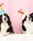 Pet Happy Birthday Hat