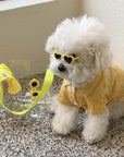 Pet Sunglasses