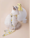 Fruit Series Cat Leashes and Harnesses