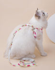 Fruit Series Cat Leashes and Harnesses