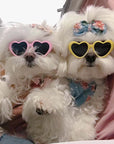 Pet Sunglasses