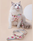 Fruit Series Cat Leashes and Harnesses