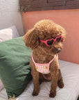 Pet Sunglasses