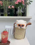 Pet Sunglasses