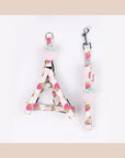 Fruit Style Cat Leashes and Harnesses
