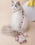 Fruit Style Cat Leashes and Harnesses