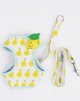 Fruit Series Pet Harness Vest & Leash - happyandpolly