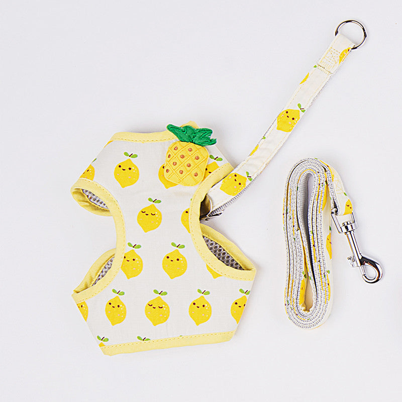 Fruit Series Pet Harness Vest &amp; Leash - happyandpolly