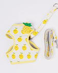 Fruit Series Pet Harness Vest & Leash - happyandpolly